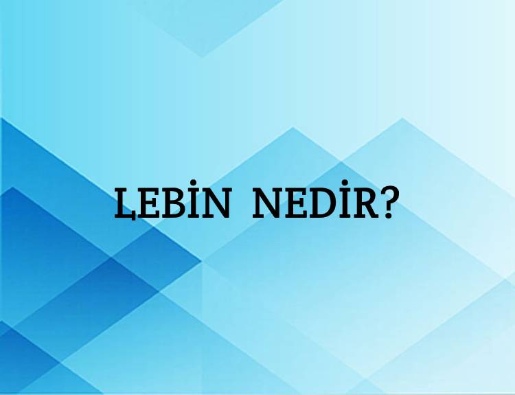 Lebin Nedir? 1