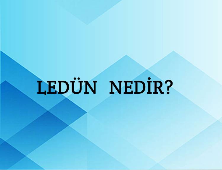 Ledün Nedir? 1