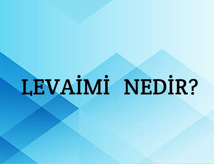 Levami Nedir? 3