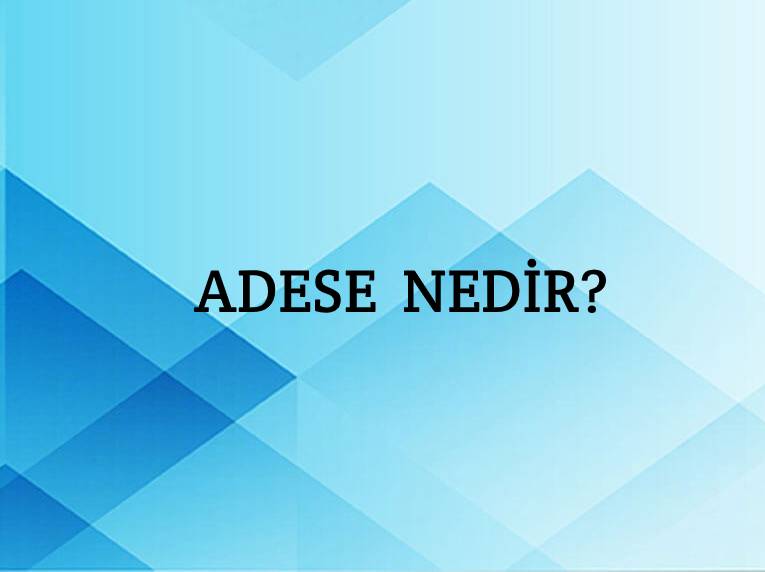 Adese Nedir? 1