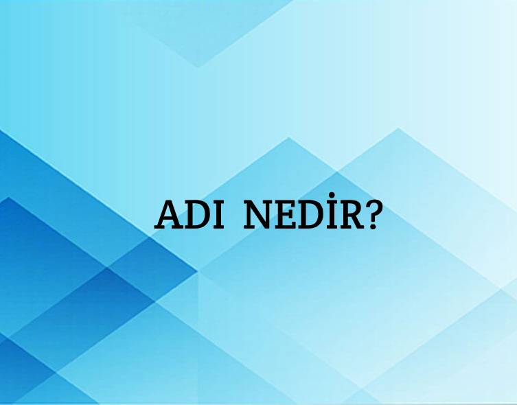 Adî Nedir? 1