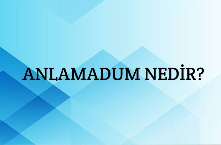 Anlamadum Nedir? 1