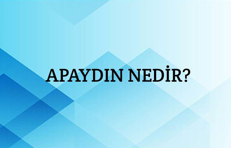 Apaydın Nedir? 1