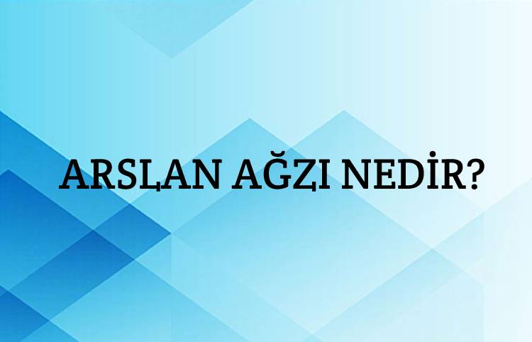 Arslan Ağzı Nedir? 1