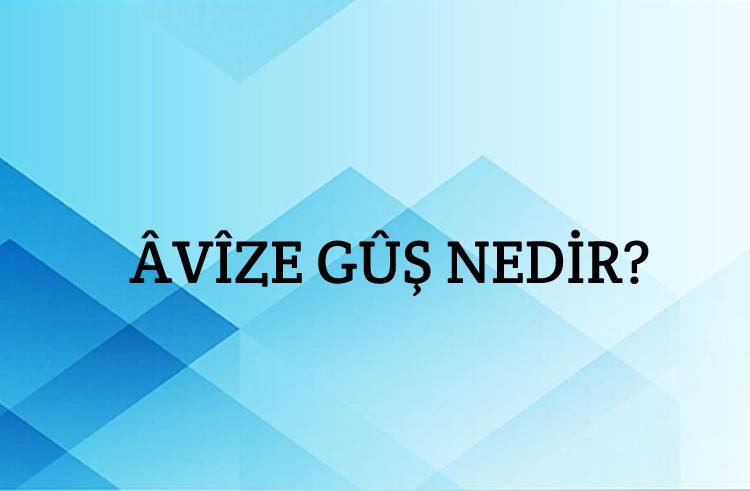 Âvîze gûş Nedir? 1