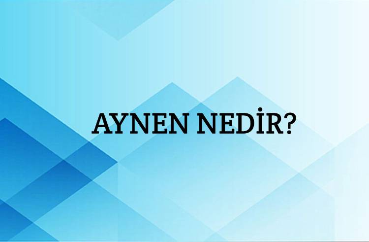 Aynen Nedir? 1