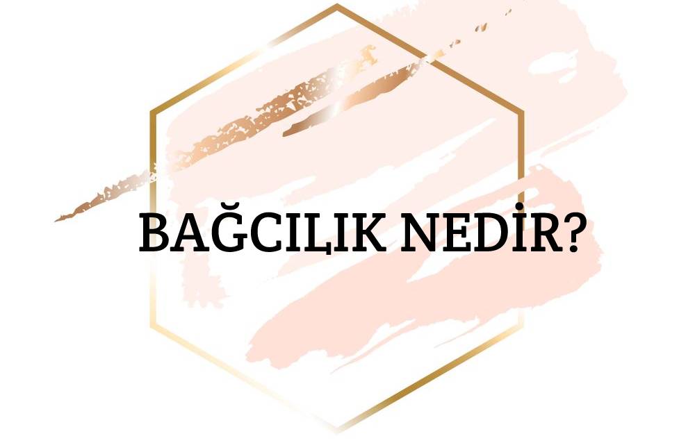 Bağcılık Nedir? 1