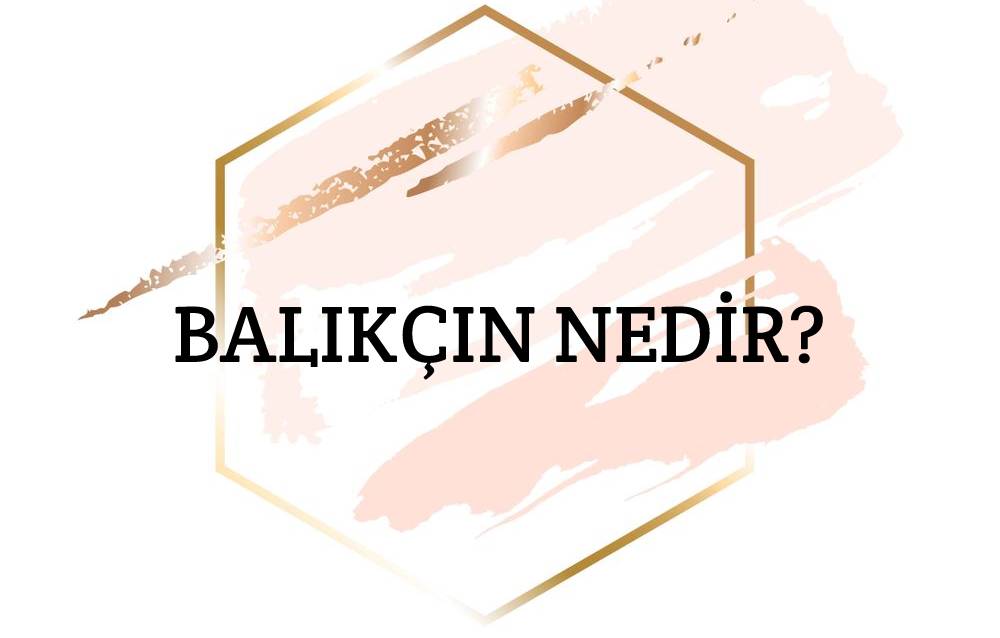 Balıkçın Nedir? 1