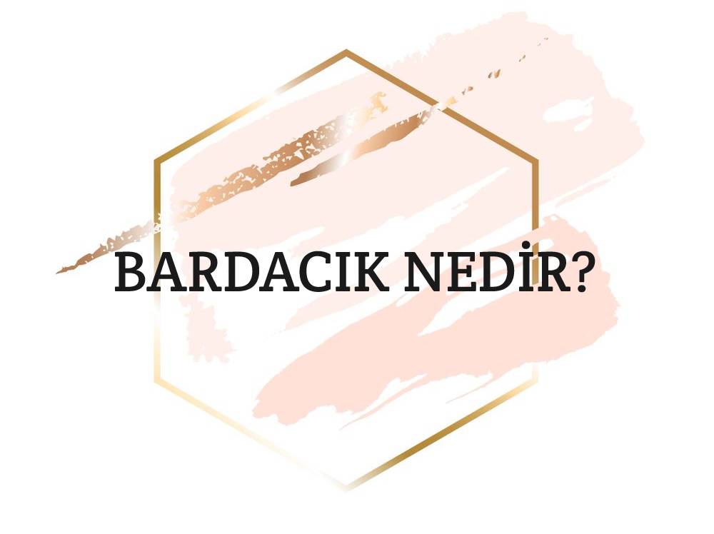 Bardacık Nedir? 1