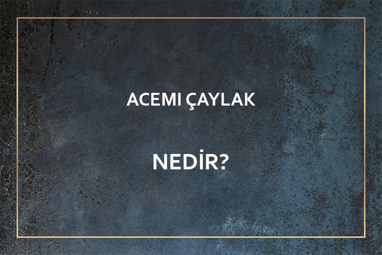 Acemi Çaylak Nedir? 1