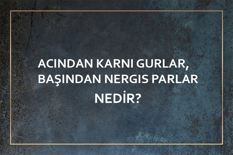 Acından Karnı Gurlar, Başından Nergis Parlar Nedir? 1