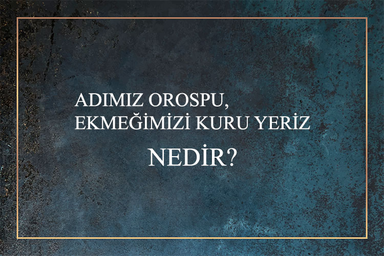 Adımız Orospu, Ekmeğimizi Kuru Yeriz Nedir? 1