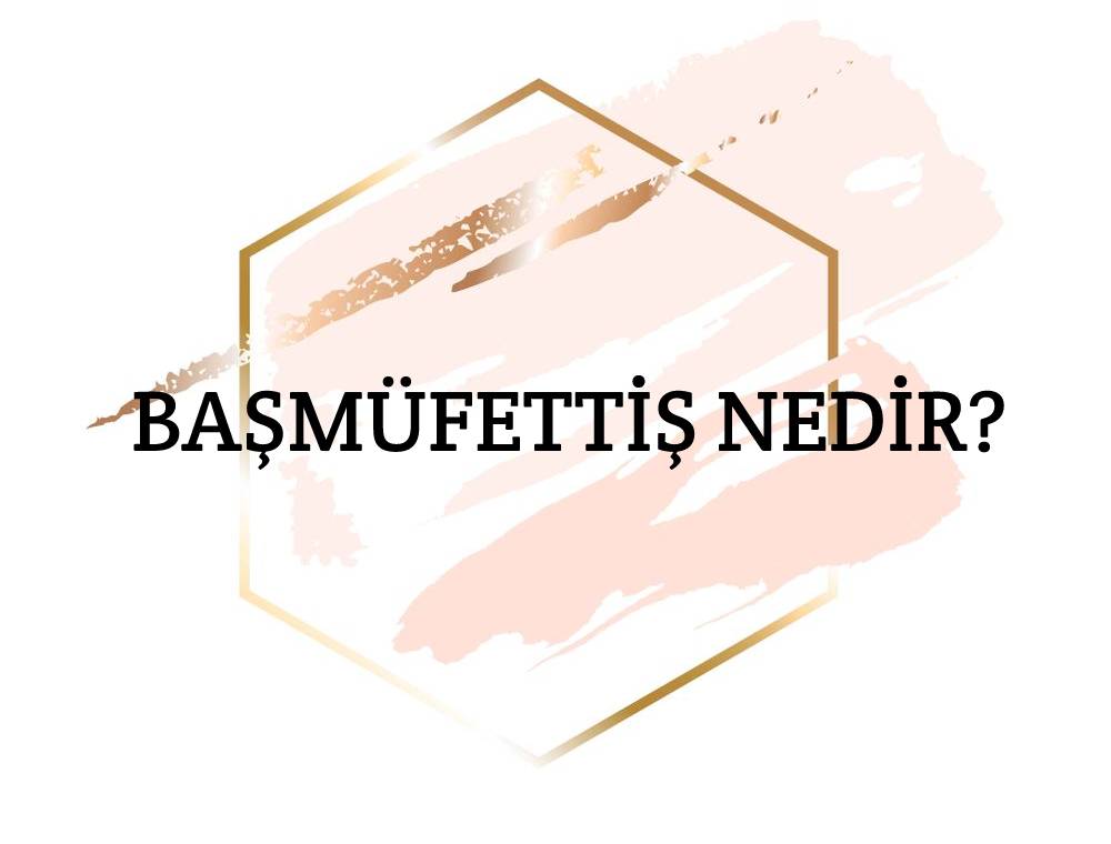 Başmüfettiş Nedir? 1