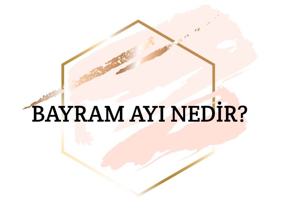 Bayram Ayı Nedir? 1