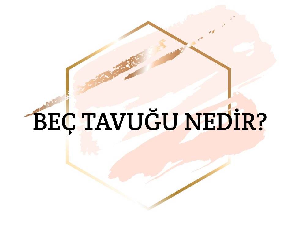 Beç Tavuğu Nedir? 1