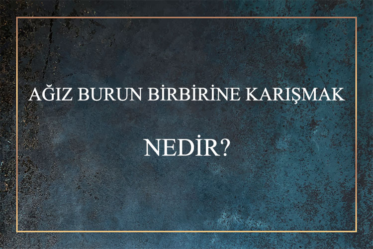 Ağız Burun Birbirine Karışmak Nedir? 1