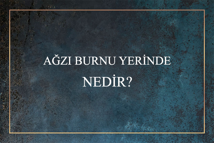 Ağzı Burnu Yerinde Nedir? 1