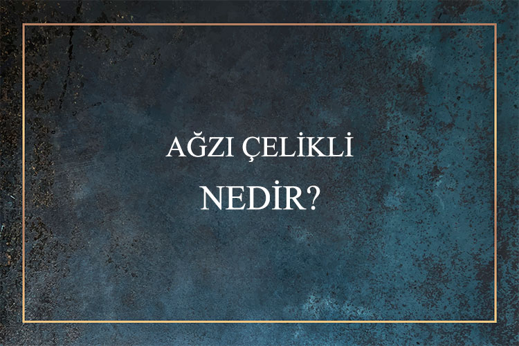 Ağzı Çelikli Nedir? 1