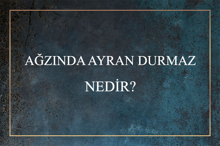 Ağzında Ayran Durmaz Nedir? 1