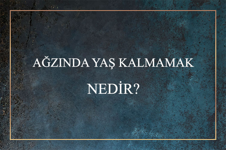 Ağzında Yaş Kalmamak Nedir? 1