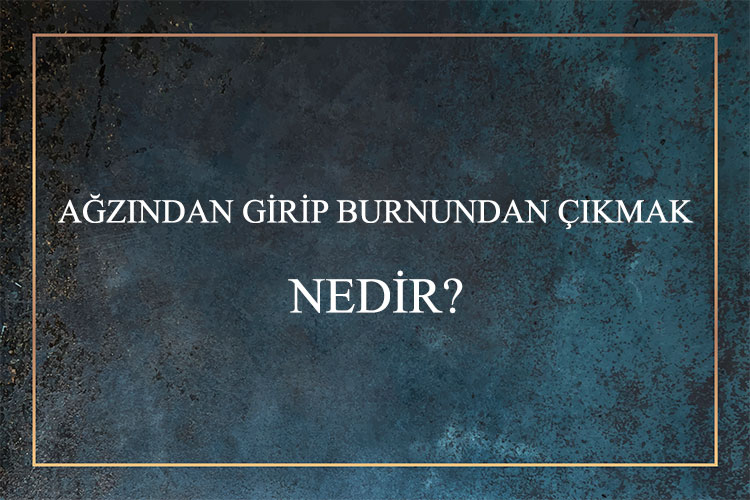 Ağzından Girip Burnundan Çıkmak Nedir? 1