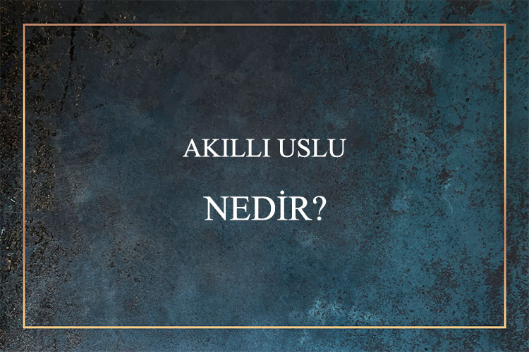 Akıllı Uslu Nedir? 1