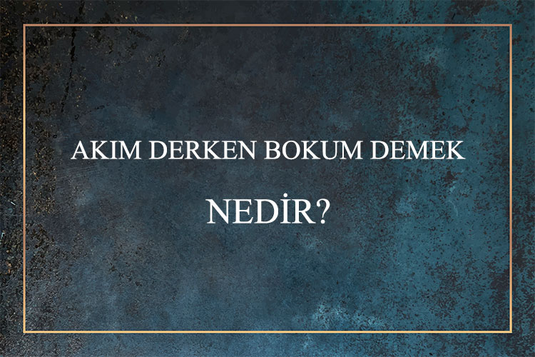 Akım Derken Bokum Demek Nedir? 1