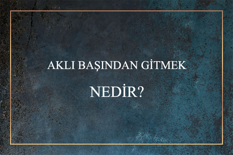 Aklı Başından Gitmek Nedir? 1