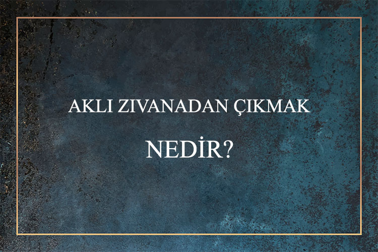 Aklı Zıvanadan Çıkmak Nedir? 1