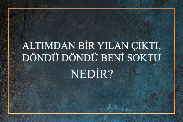 Altımdan Bir Yılan Çıktı, Döndü Döndü Beni Soktu Nedir? 1