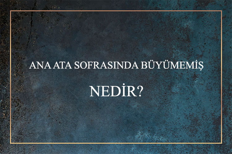 Ana Ata Sofrasında Büyümemiş Nedir? 1