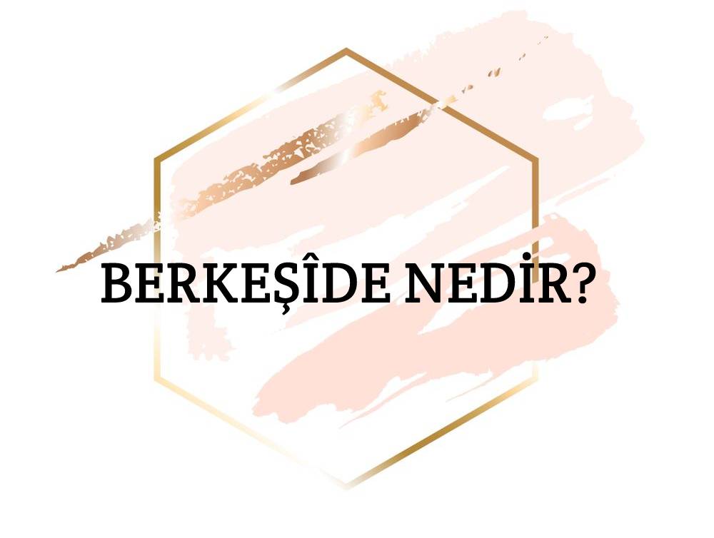 Berkeşîde Nedir? 1