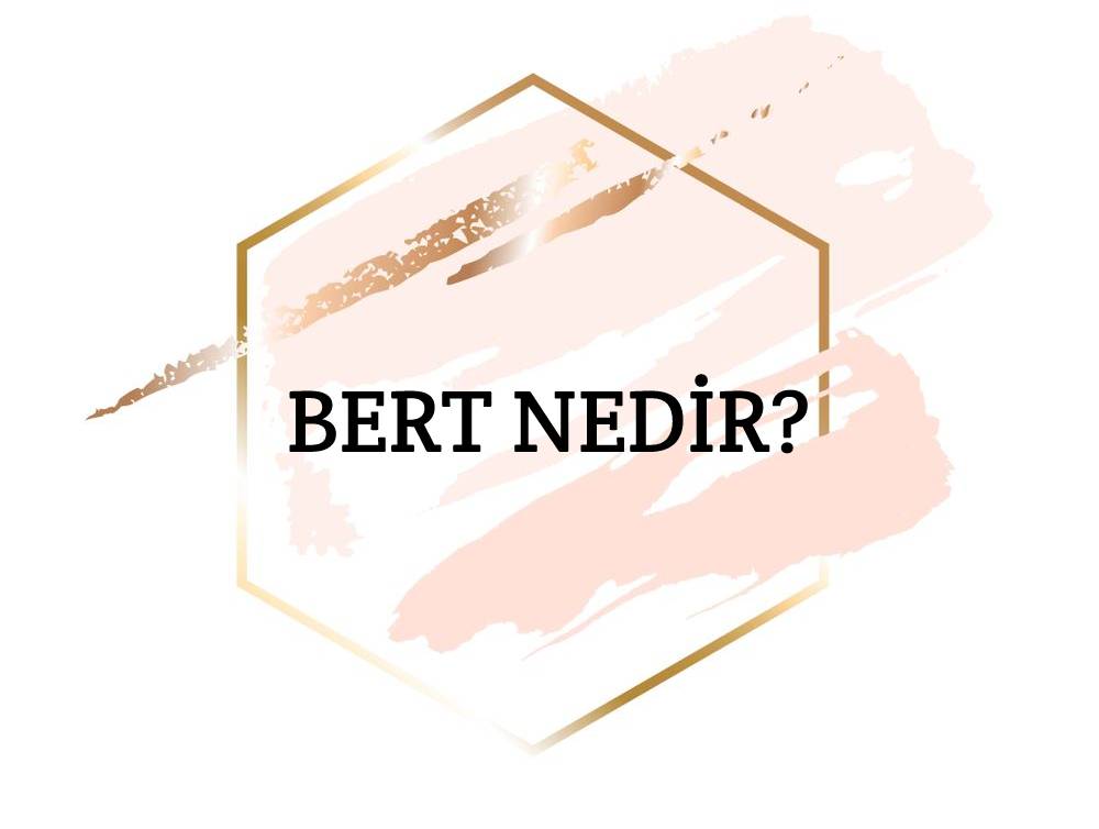 Bert Nedir? 1