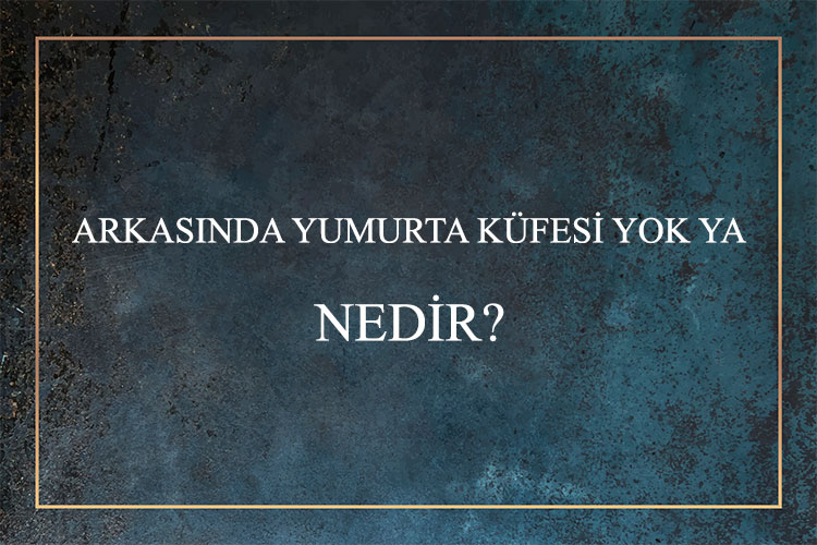 Arkasında Yumurta Küfesi Yok Ya Nedir? 1