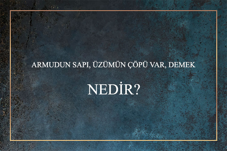 Armudun Sapı, Üzümün Çöpü var, Demek Nedir? 1