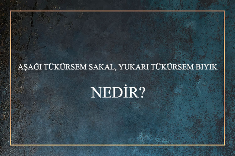 Aşağı Tükürsem Sakal, Yukarı Tükürsem Bıyık Nedir? 1