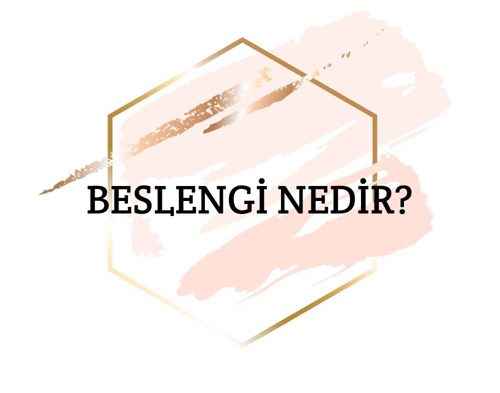 Beslengi Nedir? 1