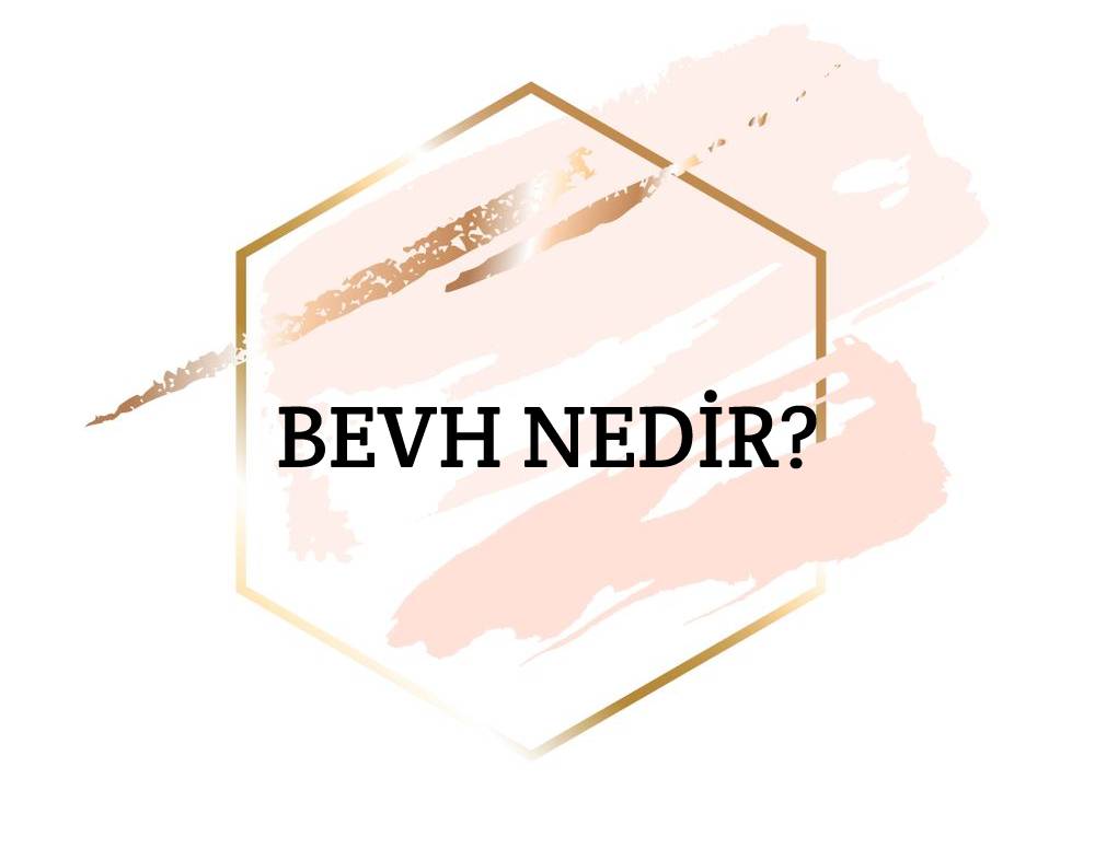 Bevh Nedir? 1