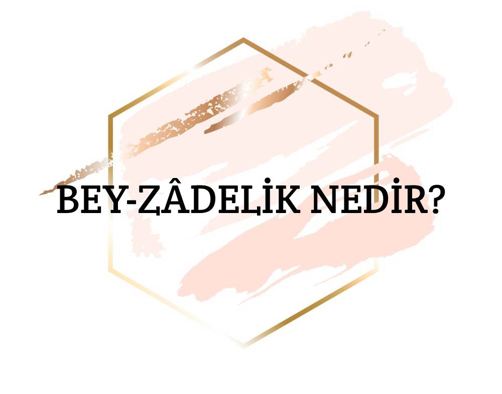 Bey-zâdelik Nedir? 1