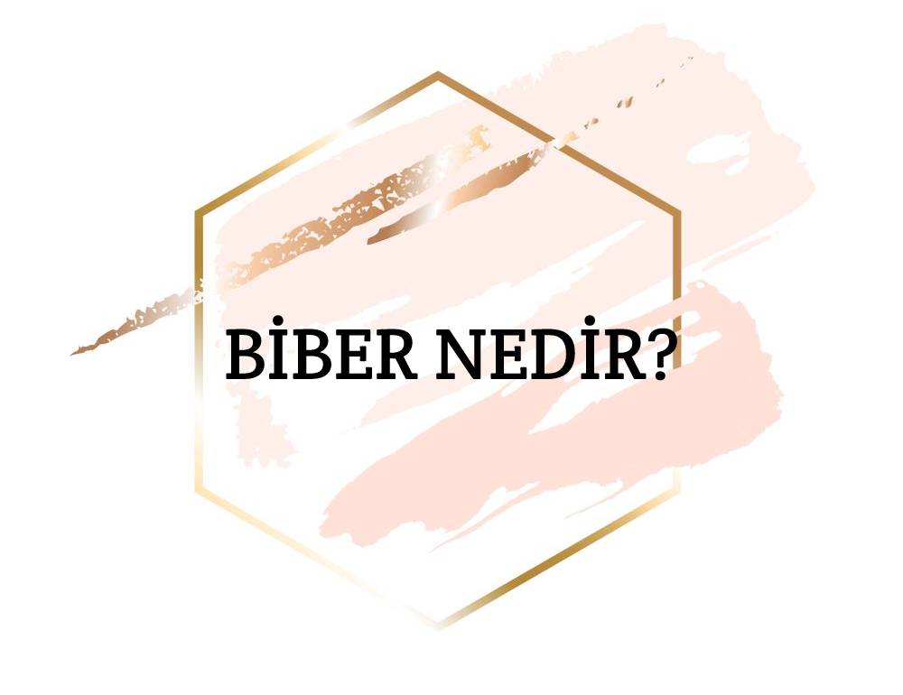 Biber Nedir? 1