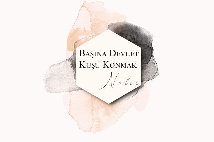 Başına Devlet Kuşu Konmak Nedir? 1