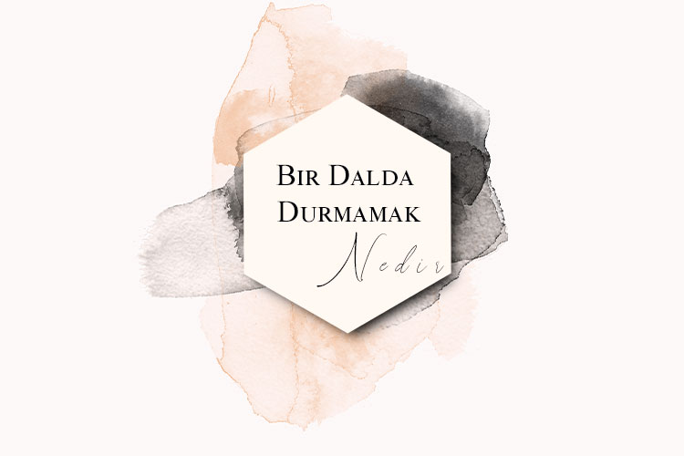 Bir Dalda Durmamak Nedir? 1