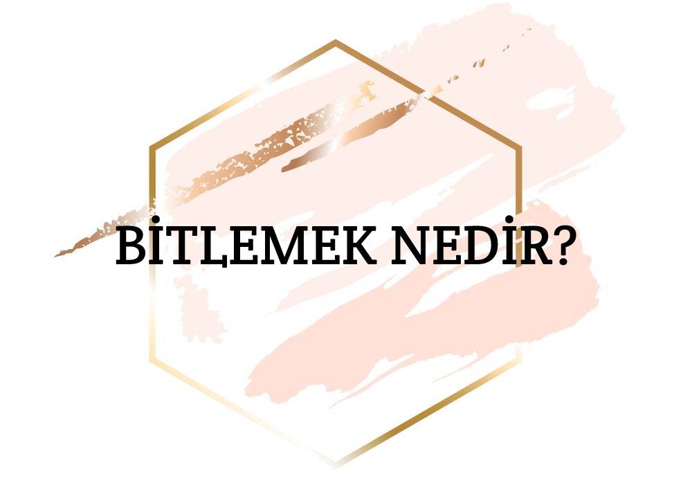 Bitlemek Nedir? 1