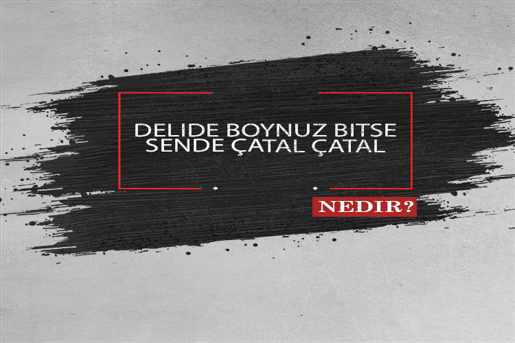 Delide Boynuz Bitse Sende Çatal Çatal Nedir? 1