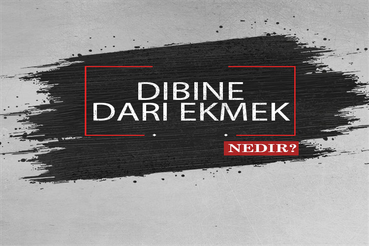 Dibine Darı Ekmek Nedir? 1