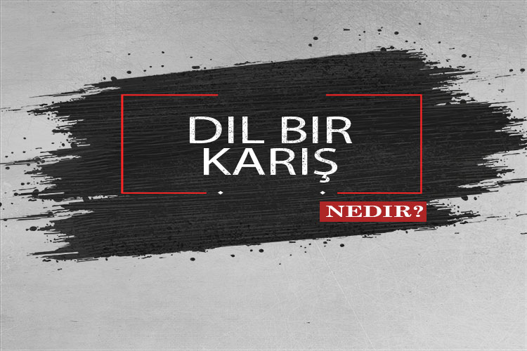 Dil Bir Karış Nedir? 1