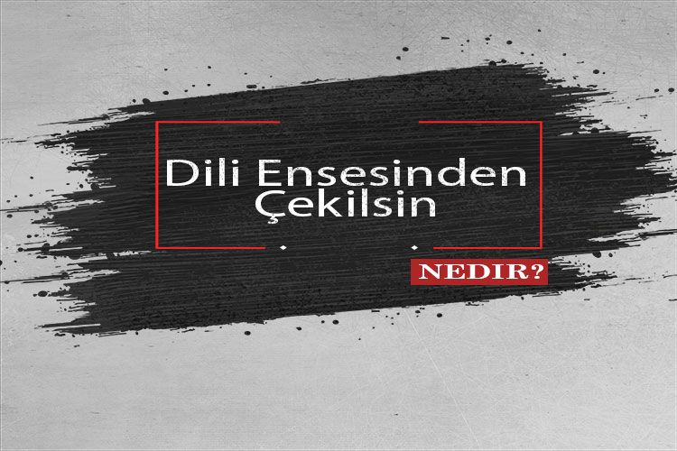 Dili Ensesinden Çekilsin Nedir? 1