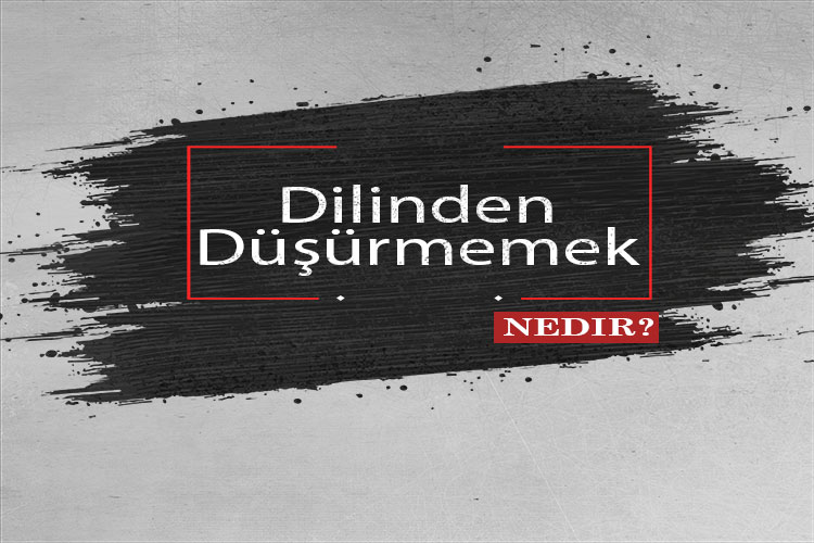 Dilinden Düşürmemek Nedir? 1