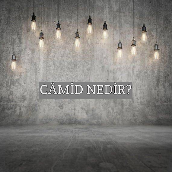 Câmid Nedir? 1