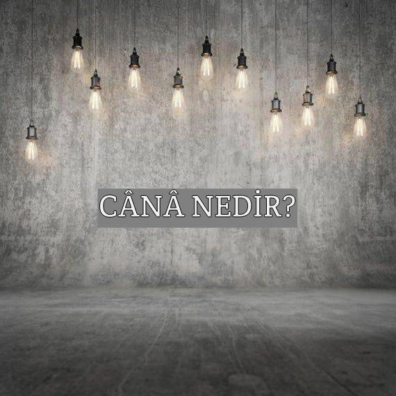 Cânâ Nedir? 1